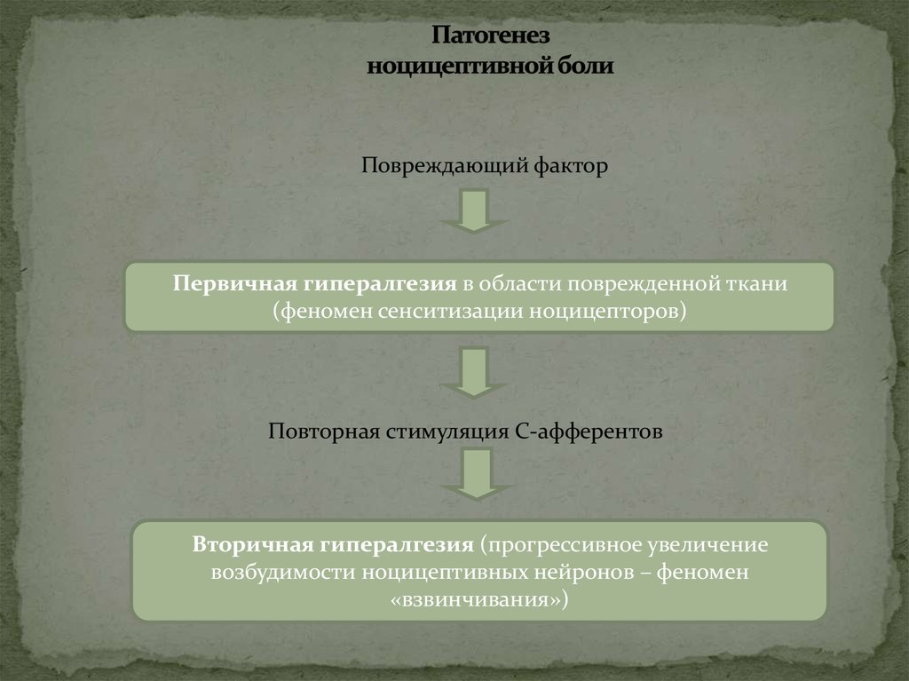 Схема механизмов развития первичной и вторичной гиперальгезии