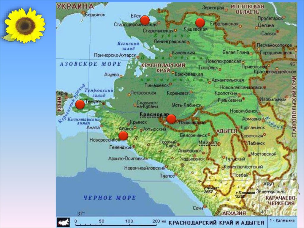 Карта краснодарского края на карте