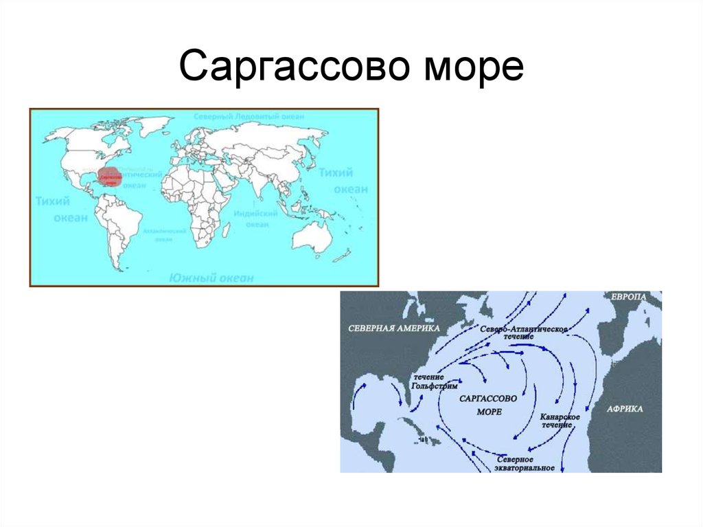 Саргасово море карта