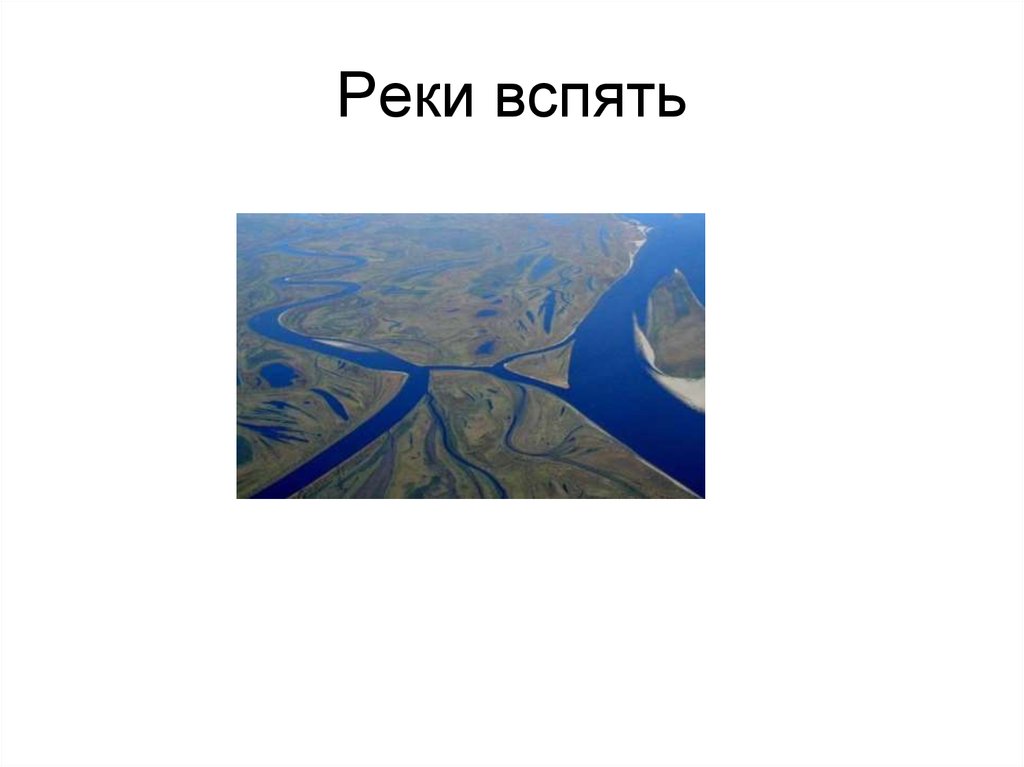 Реки вспять ссср проект