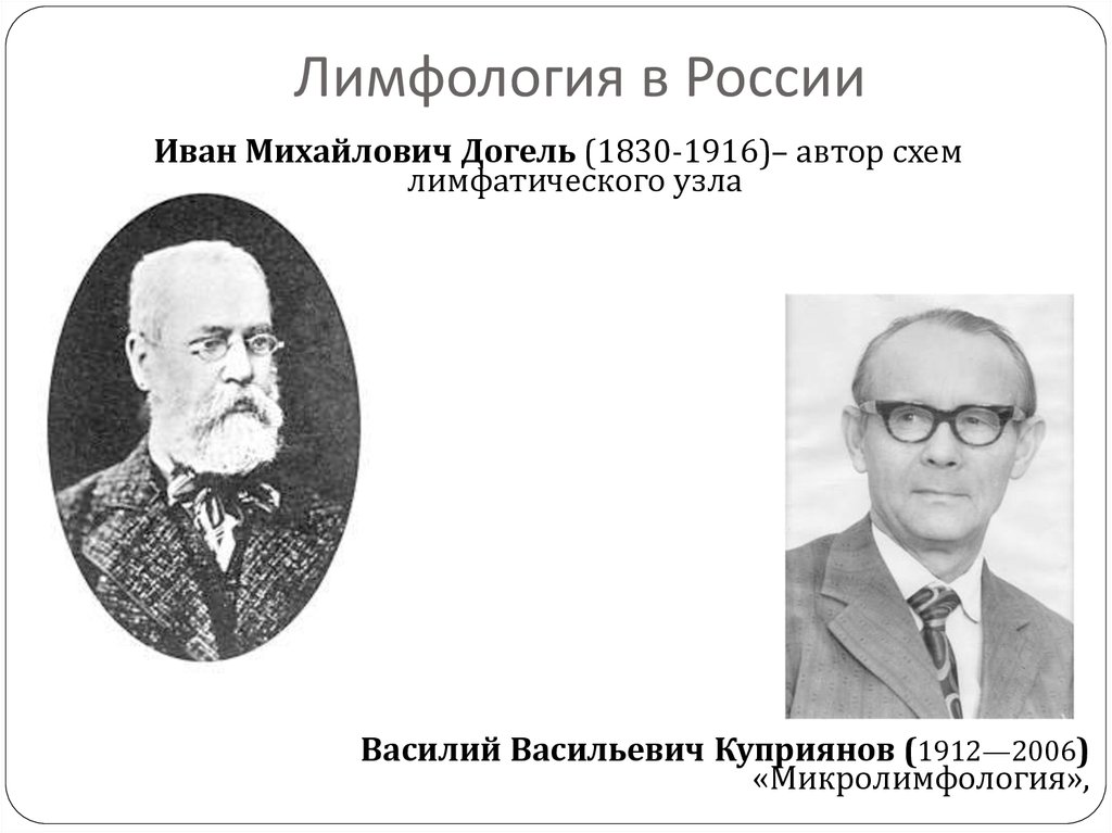 Лимфология. Иван Михайлович Догель. Догель Иван Михайлович фармаколог. Василий Васильевич Куприянов. Учёный Иван Михайлович Догель.