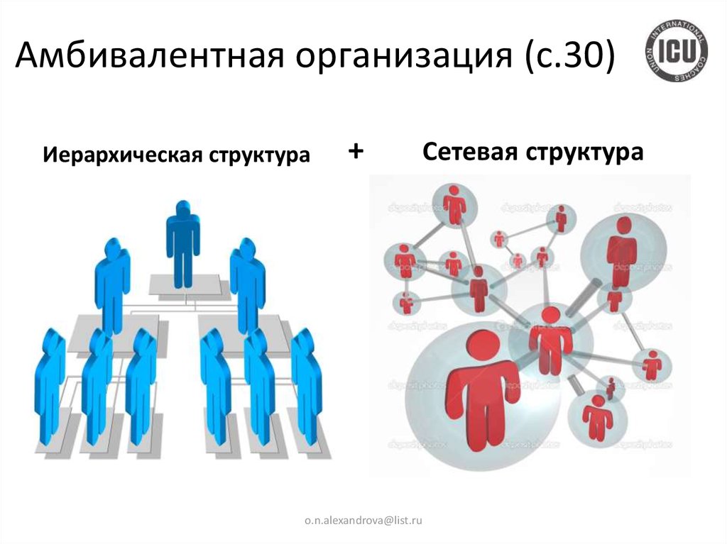 Сетевая организационная структура. Участники организации сеть