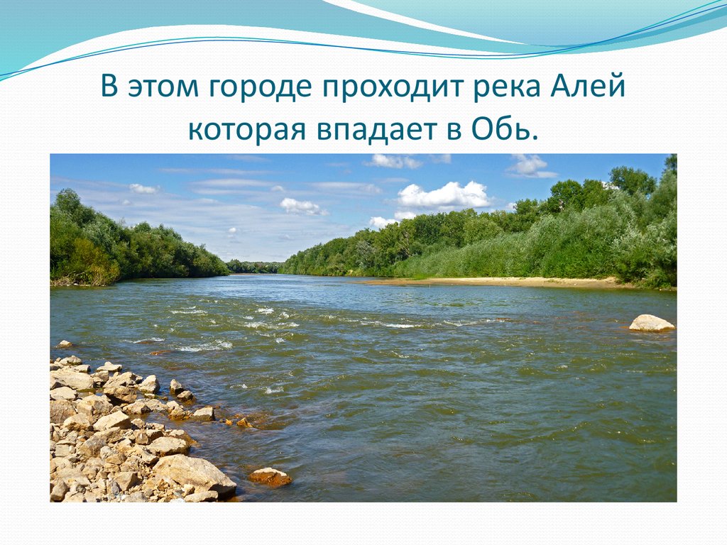 Алей длина. Река алей Алтайский край. Презентация река алей. Легенда реки алей. Откуда начинается река алей.