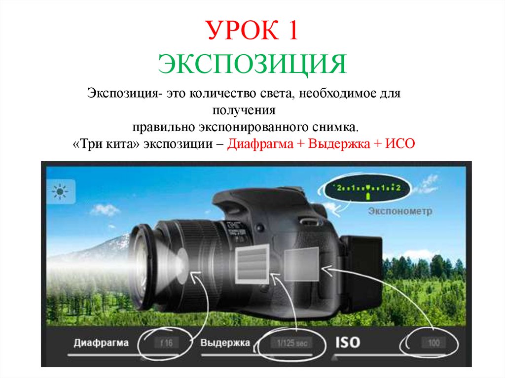 Что такое экспозиция фотографии