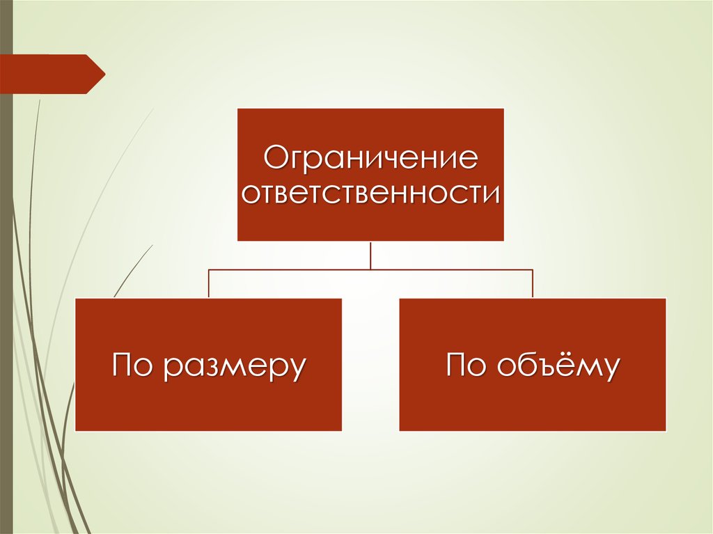 Ответственность ограничена