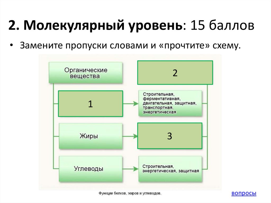 Организационный уровень