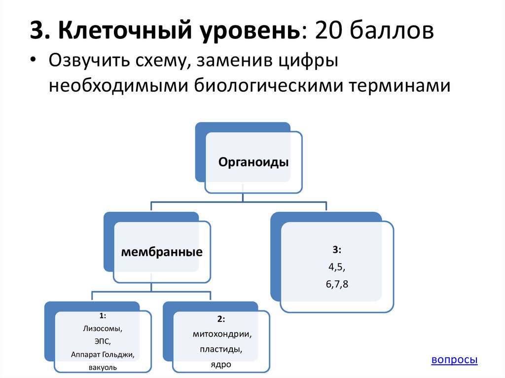 Уровни клетки