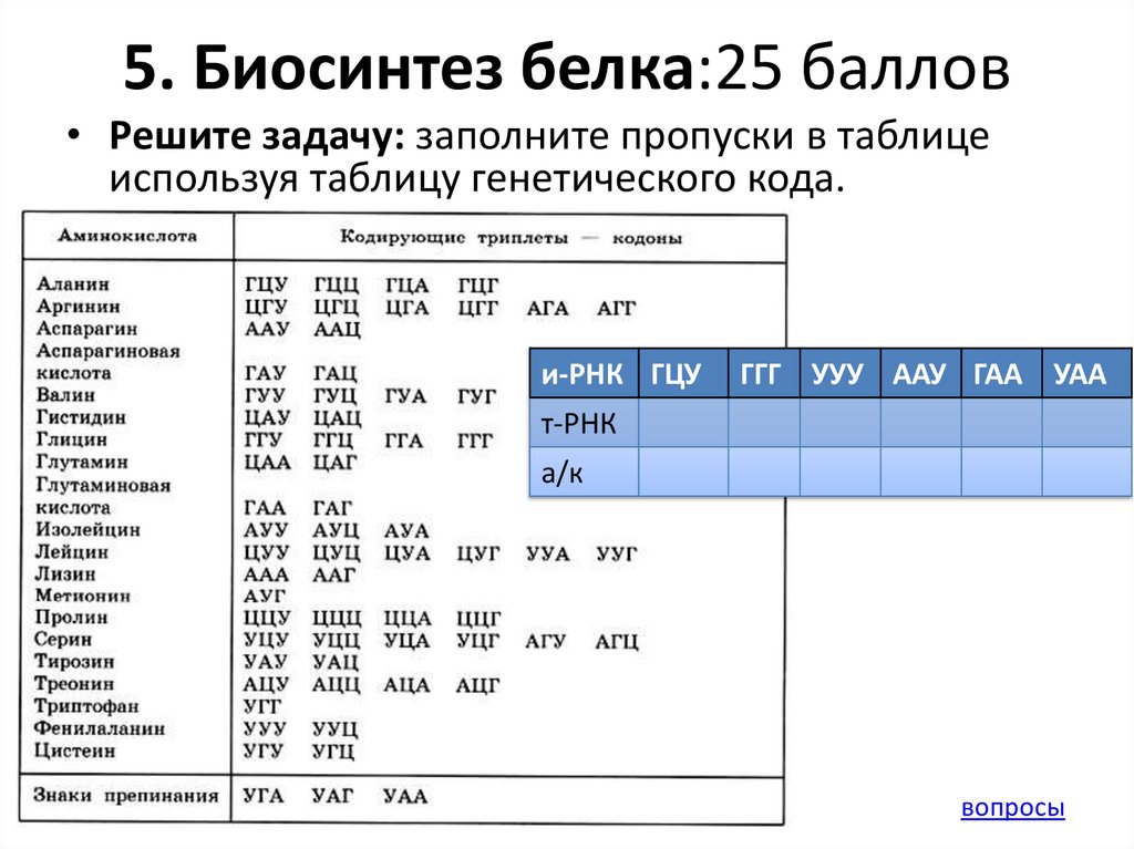 Какой триплет соответствует кодону угц