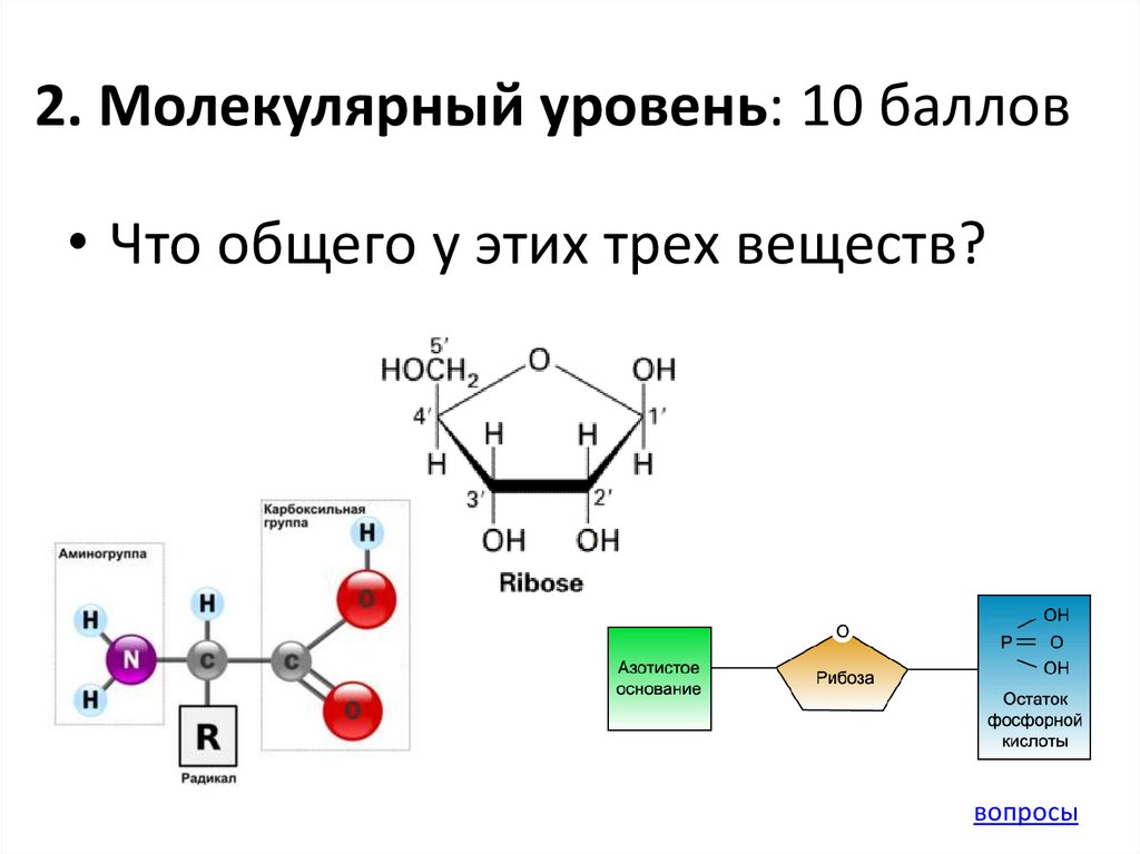 Уровни молекул