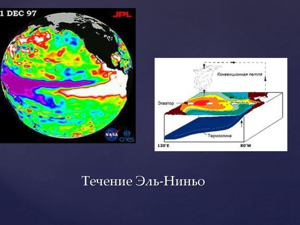 Эль ниньо. Эль-Ниньо течение. Течения Эль-Ниньо и ла-Нинья. Течение Эль-Ниньо на карте. Направление течения Эль Ниньо.