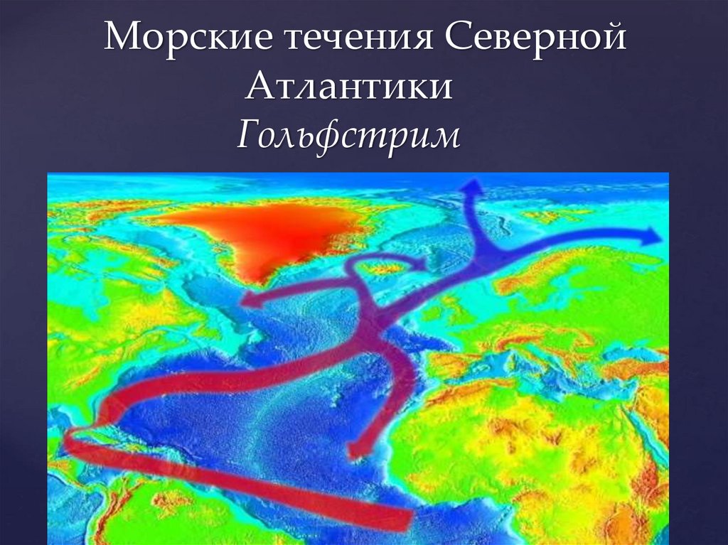 1 из течений. Течения мирового океана Гольфстрим. Гольфстрим морские течения. Морское течение Северное. Термическая карта Гольфстрима.