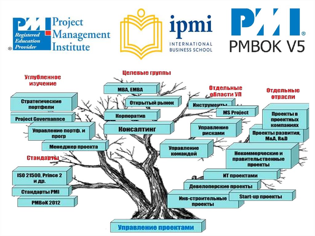 Стандарт pmi pmbok рекомендует объединять разрозненные проекты в единый комплекс