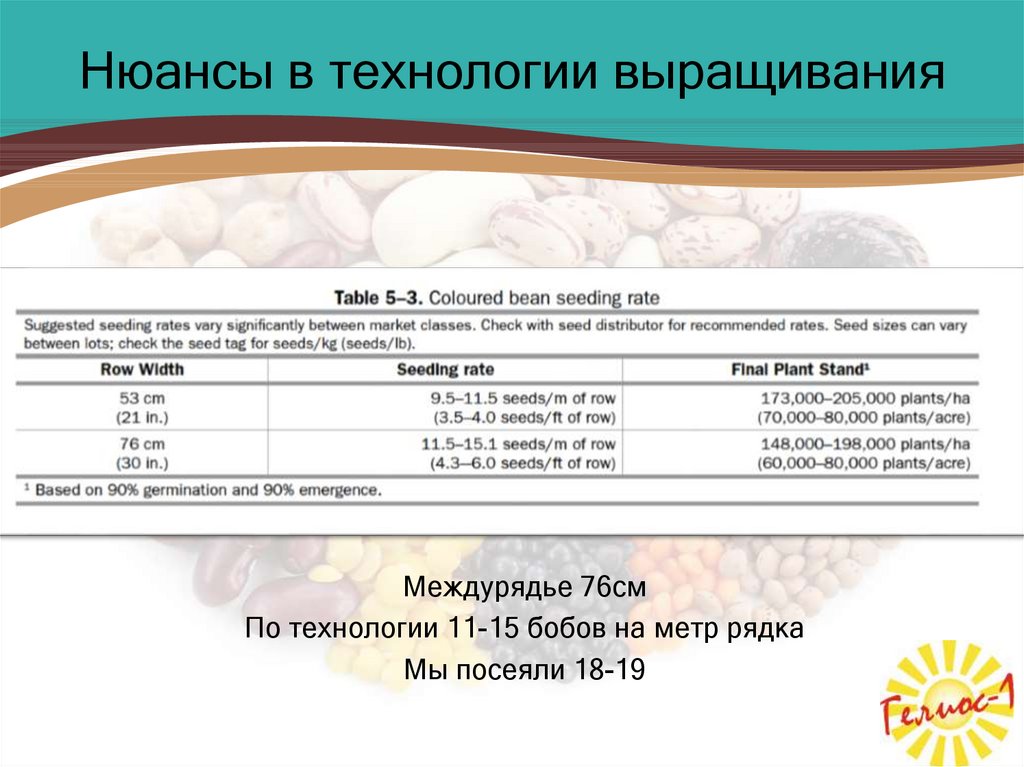 Технологии разведения животных 8 класс технология презентация