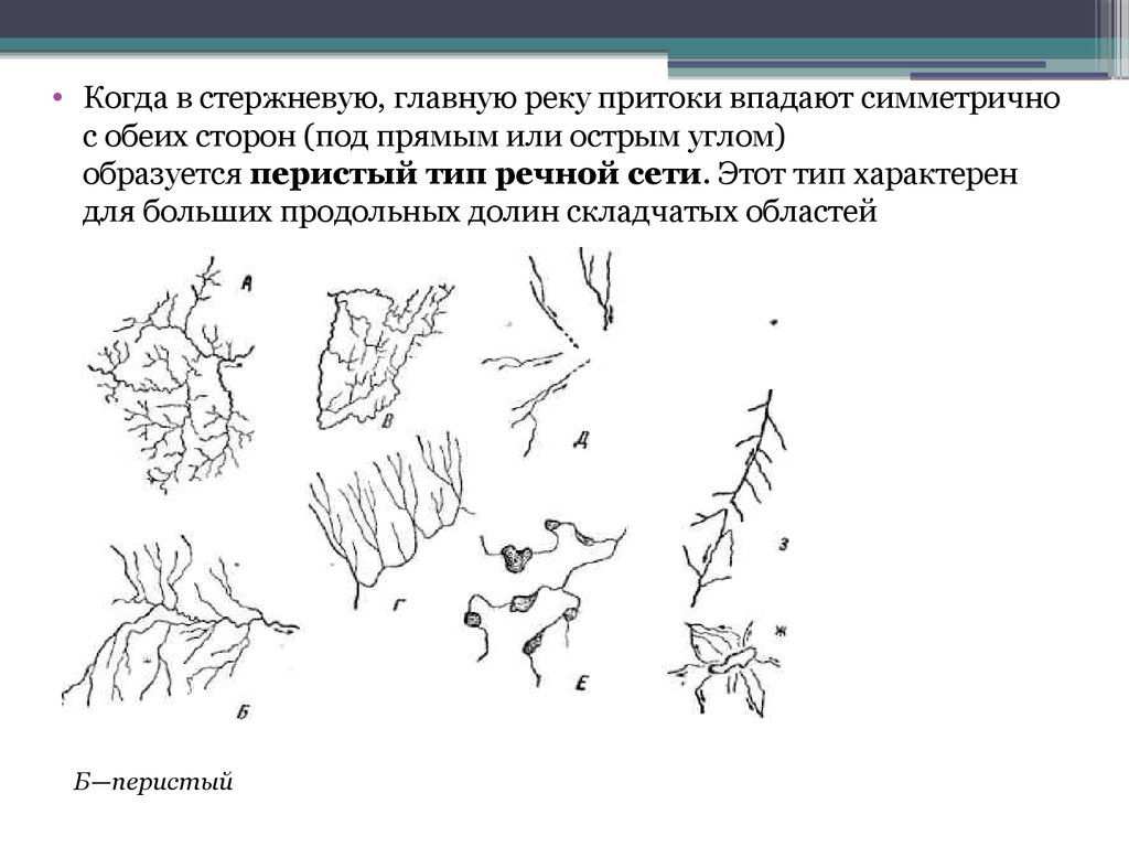 Речная сеть. Перистый Тип Речной сети. Древовидный Тип Речной сети. Типы рисунков Речной сети. Характер Речной сети.