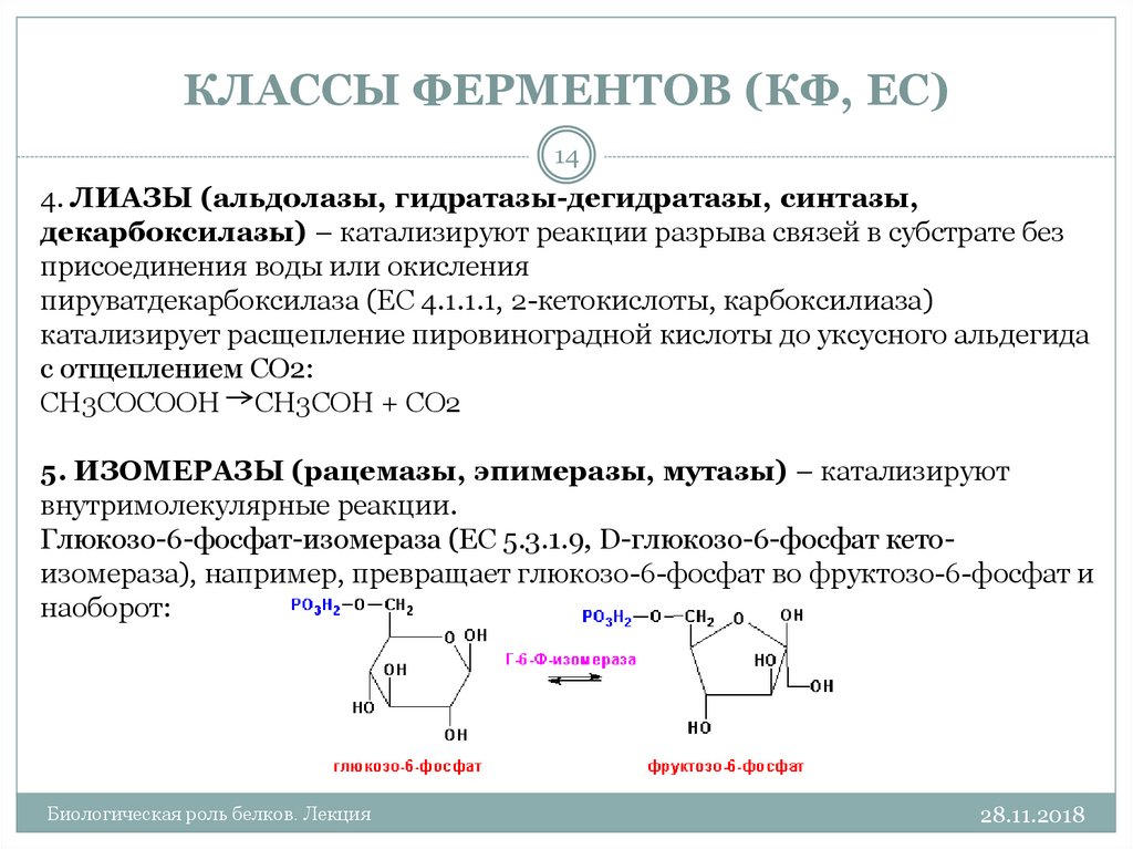 6 классов ферментов