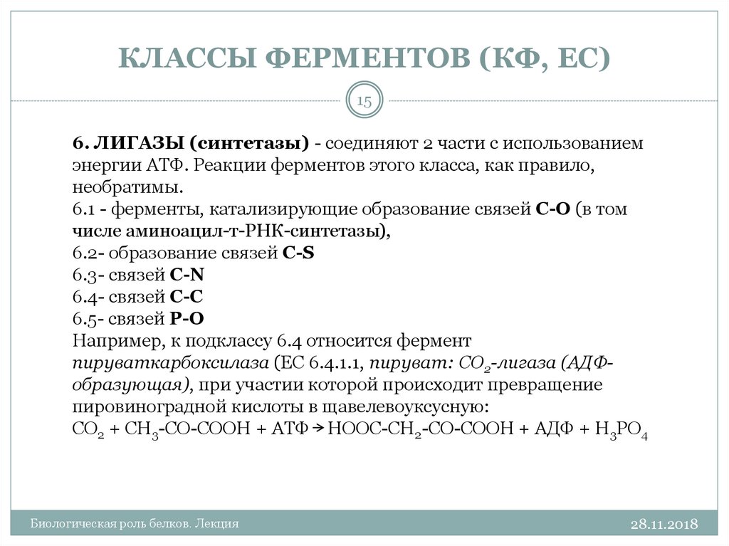 Классы ферментов. Подклассы лигаз. Класс и подкласс ферментов. Лизгазы классы ферментов. Синтетаза класс ферментов.