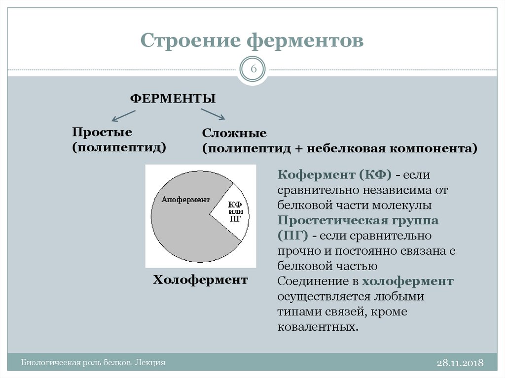 Строение ферментов