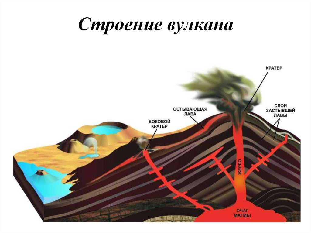 Какой цифрой на рисунке обозначено жерло