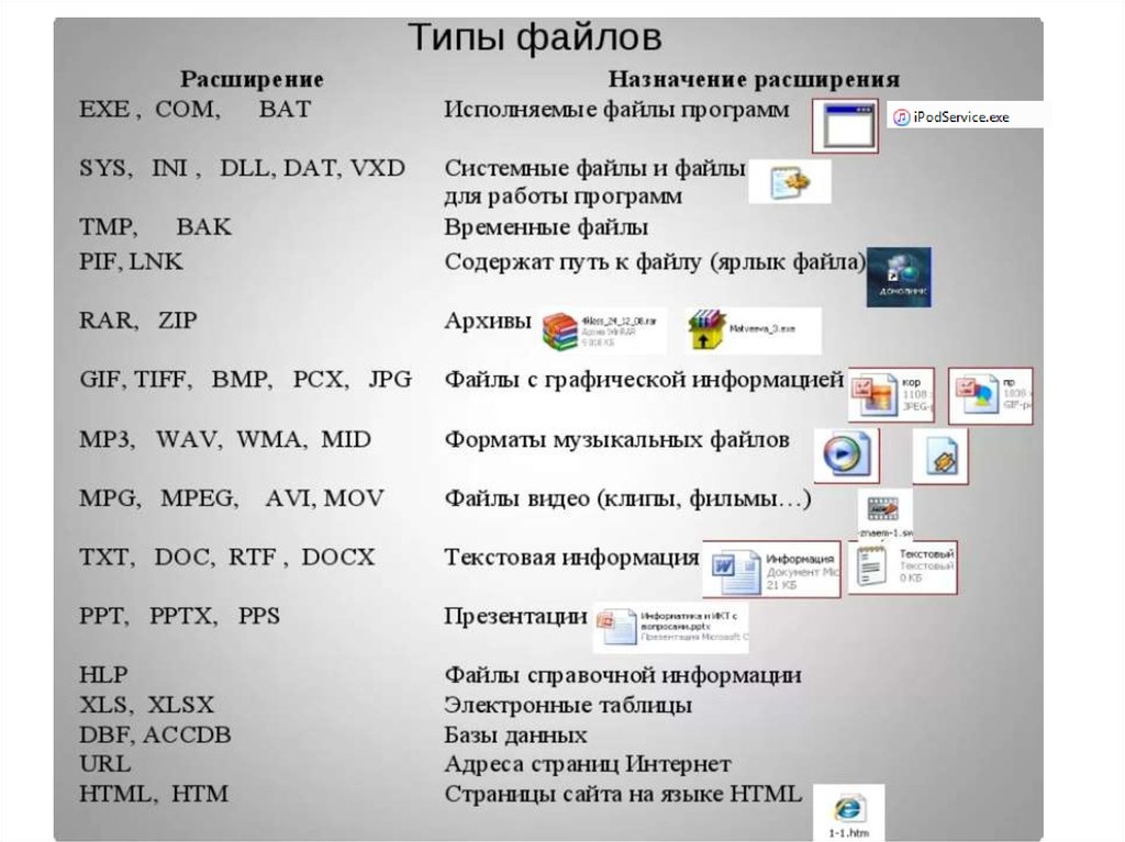 Поименованная группа файлов выделенных по какому либо общему признаку или свойству называется