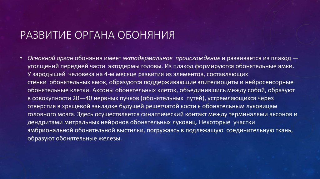 Развитие органов