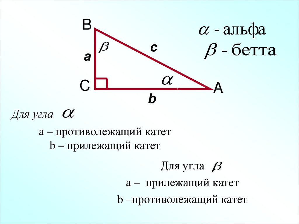 Решение прямоугольных треугольников косинус синус тангенс. Тригонометрические формулы прямоугольного треугольника. Тригонометрические отношения в прямоугольном треугольнике. Противолежащий угол в прямоугольном треугольнике. Противолежащий катет.