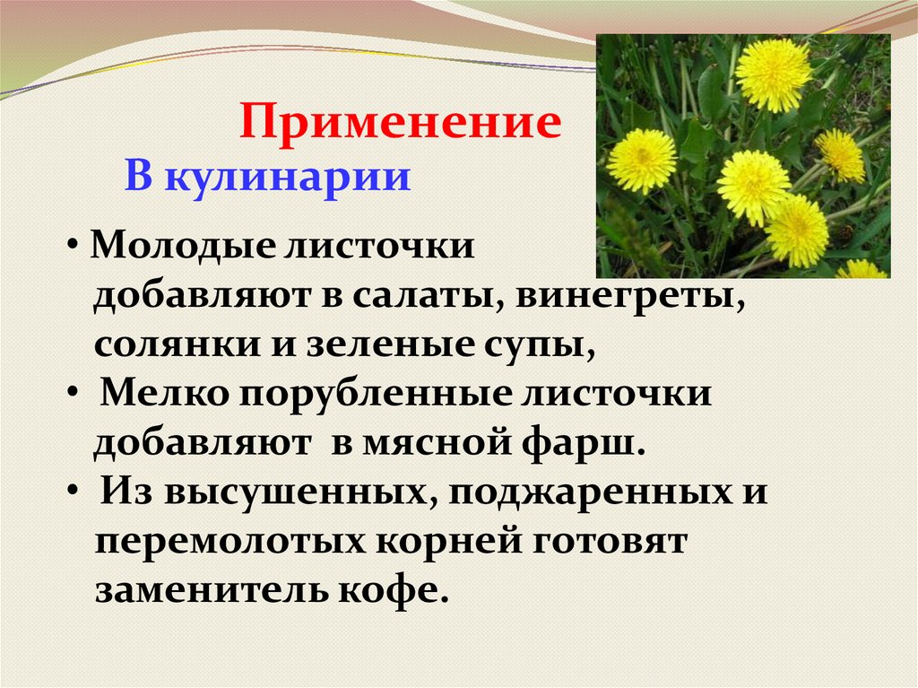 Вред и польза сорняков презентация