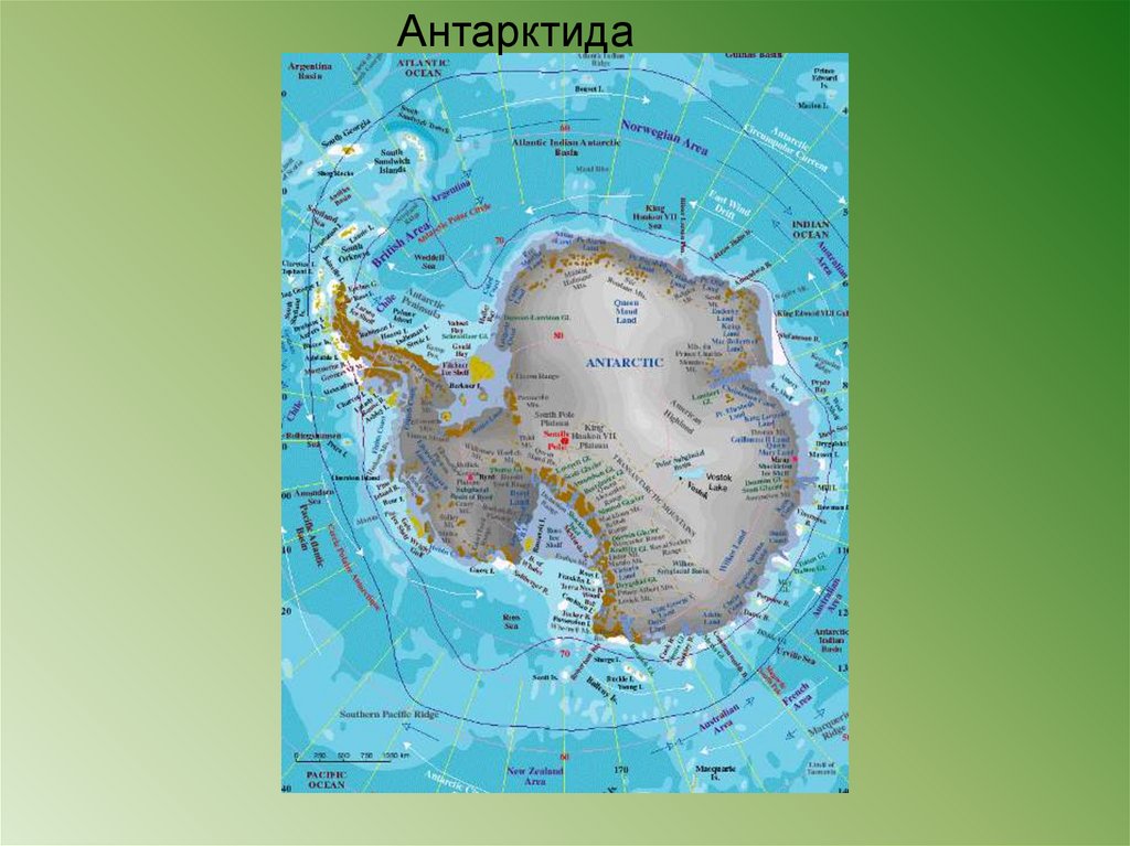 Море содружества. Антарктида на карте для детей. Физическая карта Антарктиды. Проект по Антарктиде.
