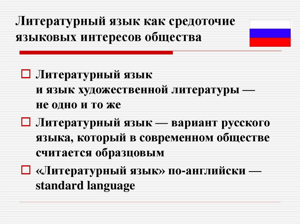 Презентация современный русский литературный язык