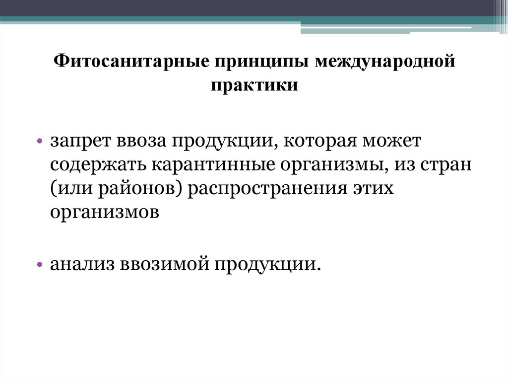 Практик международная. Международная практика что из себя представляет.