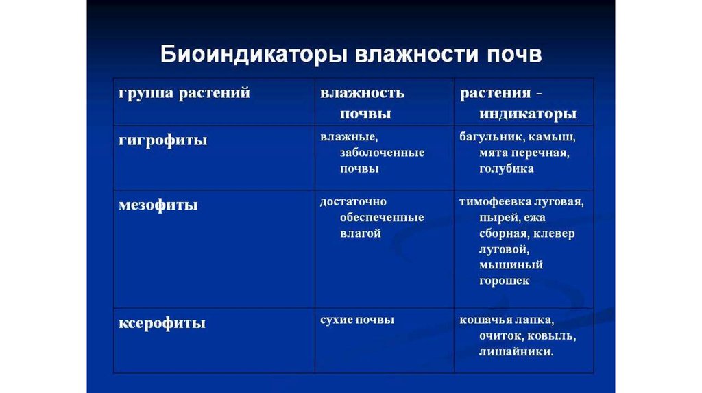 Растения и животные биоиндикаторы презентация