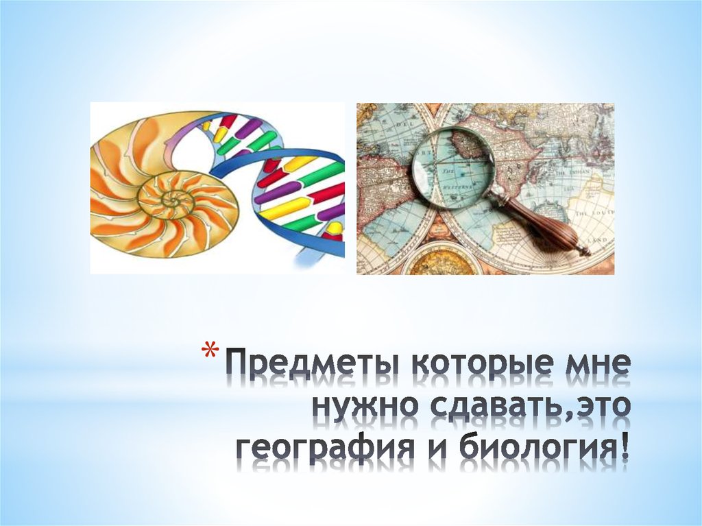 Предметы которые нужно сдавать. Предметы которые нужно сдавать