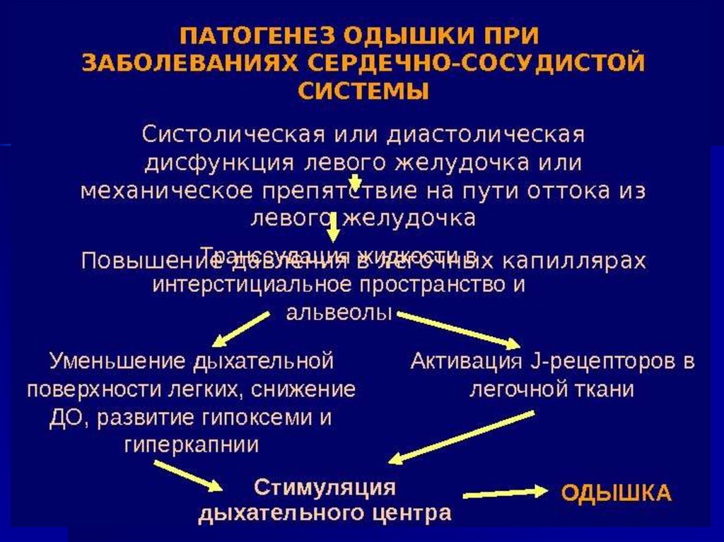 Разрывы сердца понятие патогенез клиническая картина диагностика и принципы лечения