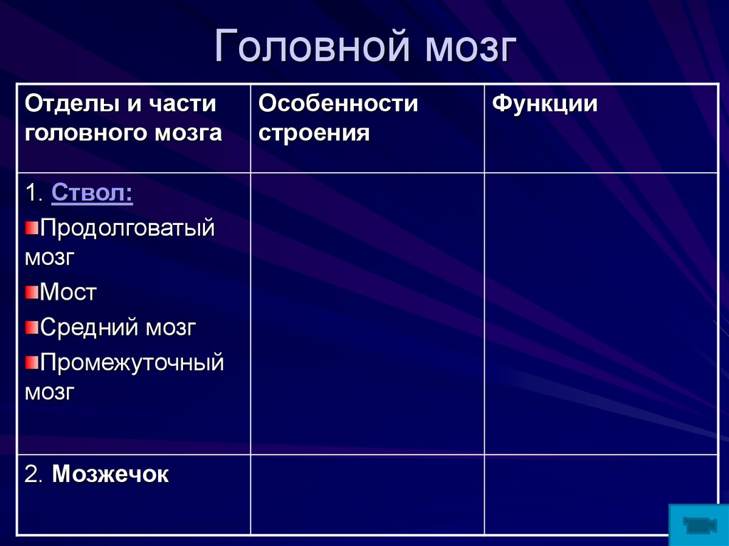 Таблица отделов. Функции отделов головного мозга. Отделы структура и функции головного мозга. Части головного мозга таблица. Функции отделов ствола головного мозга.