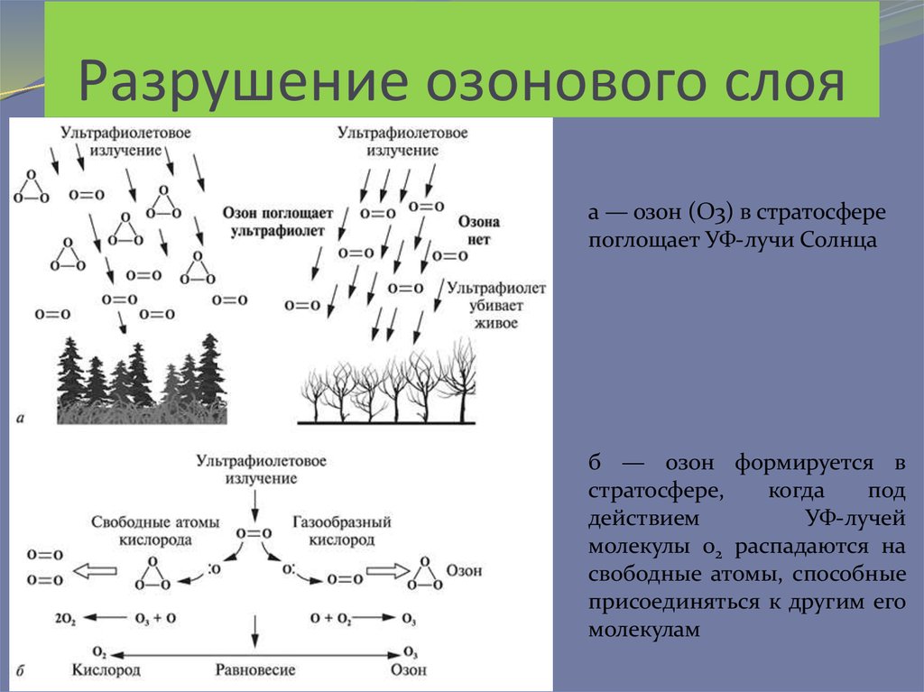 Озоновый слой схема