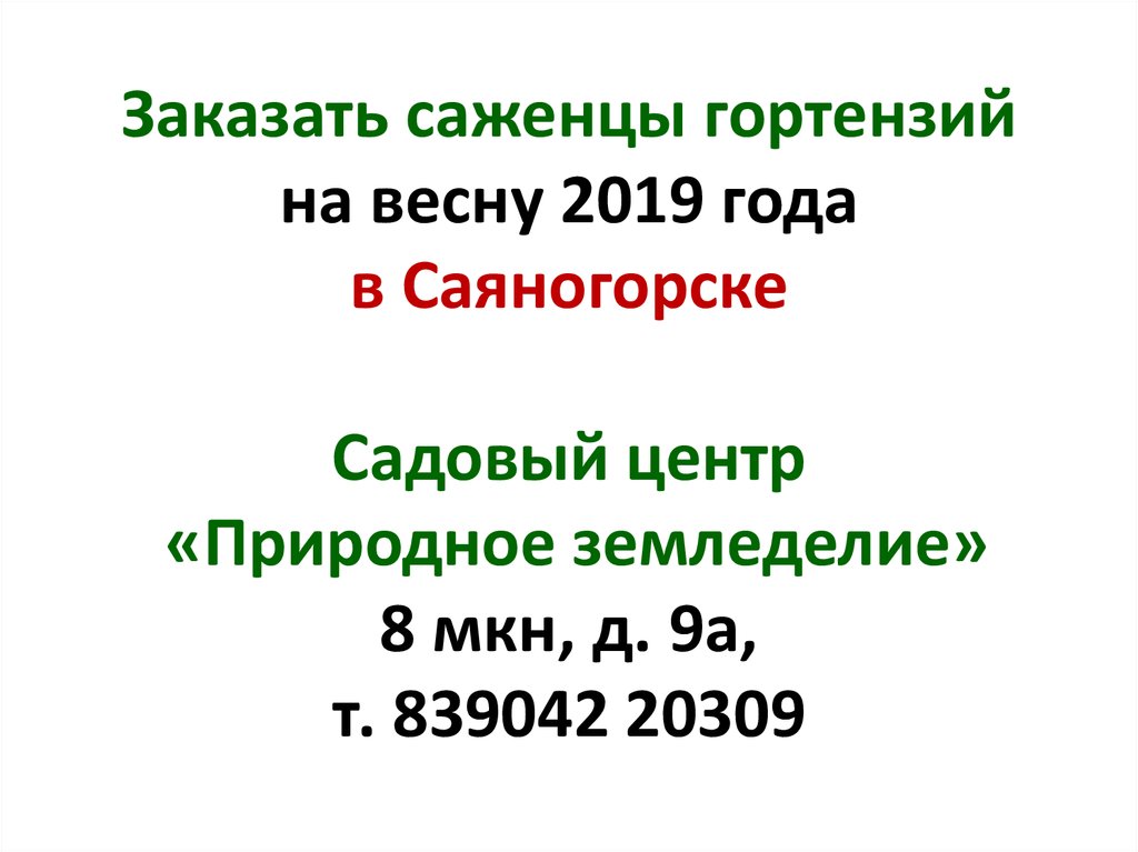 Заказать саженцы гортензий на весну 2019 года в Саяногорске Садовый центр «Природное земледелие» 8 мкн, д. 9а, т. 839042 20309