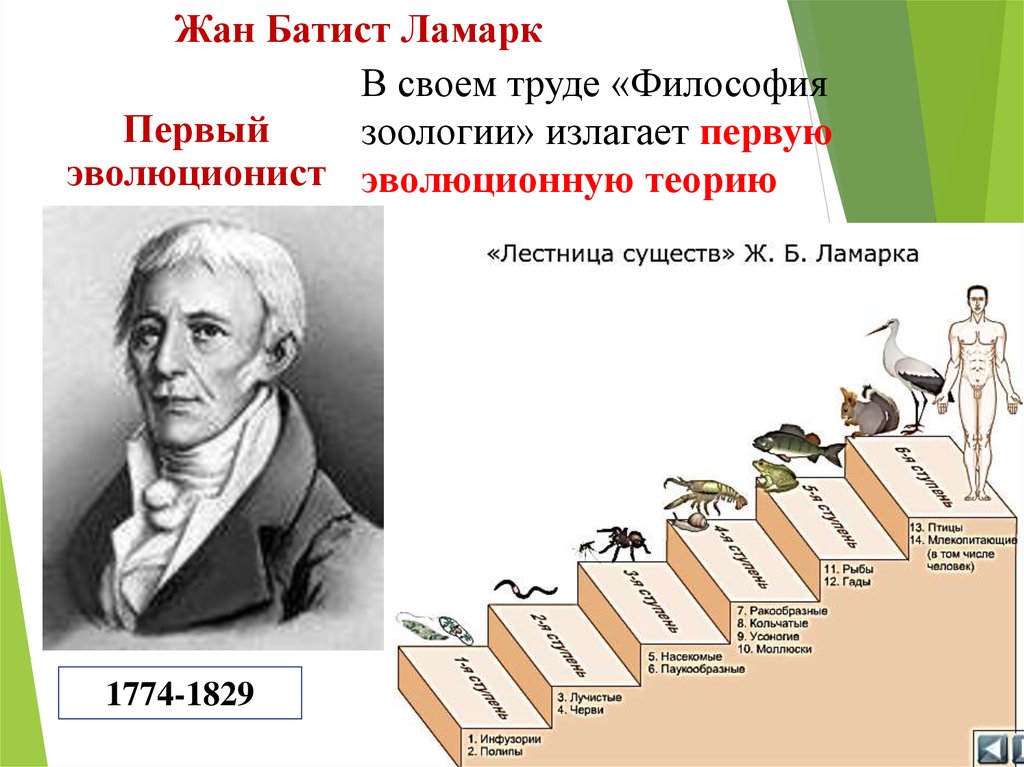 Презентация эволюционная теория жана батиста ламарка