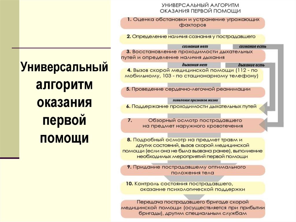 Универсальный алгоритм оказания