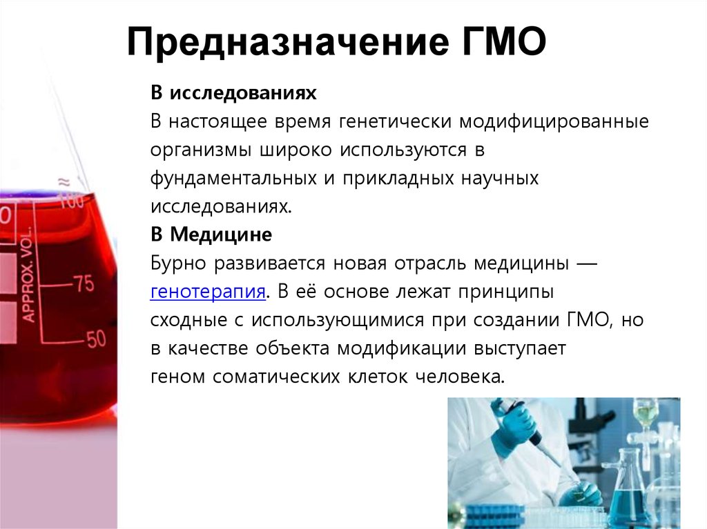 Исследовательский проект на тему гмо вред или польза