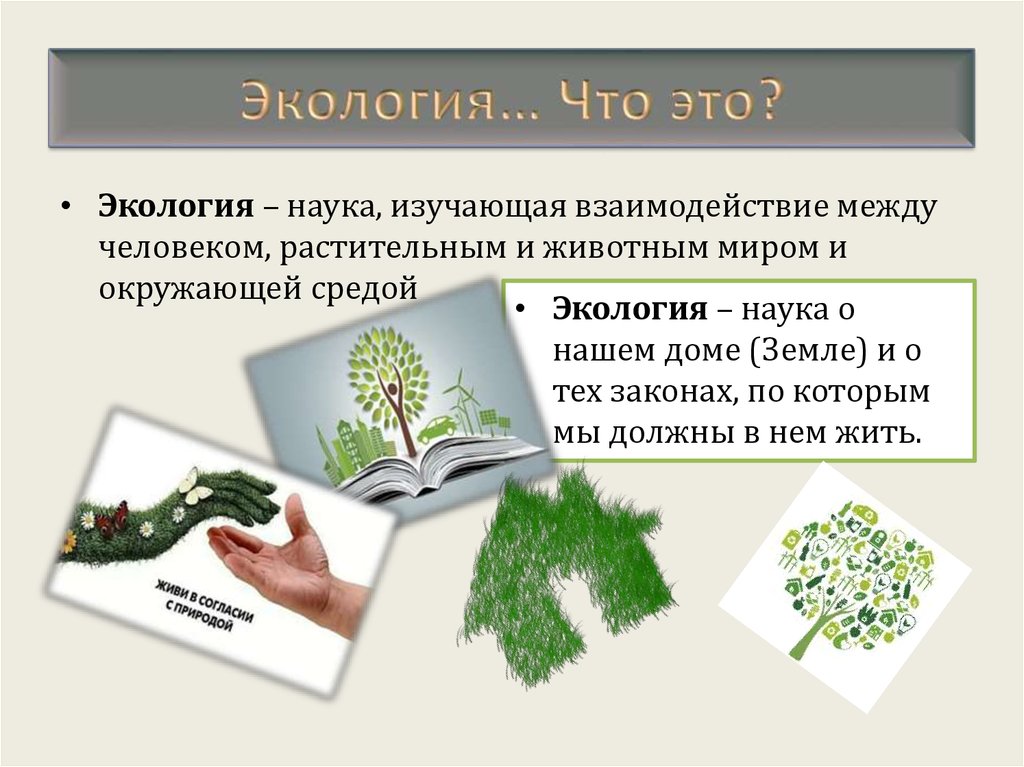 Наука изучающая взаимодействие. Экология. Экология это наука изучающая. Экология это наука изучающая условия. Точные науки экология.