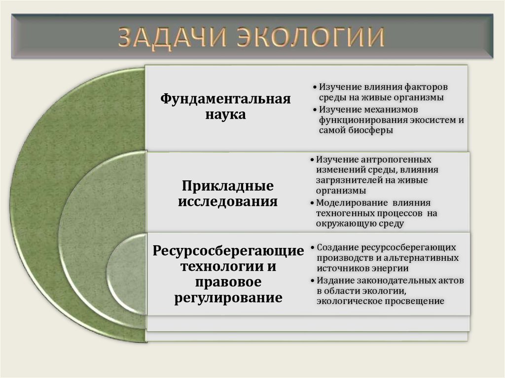 Предмет и задачи экологии презентация 11 класс