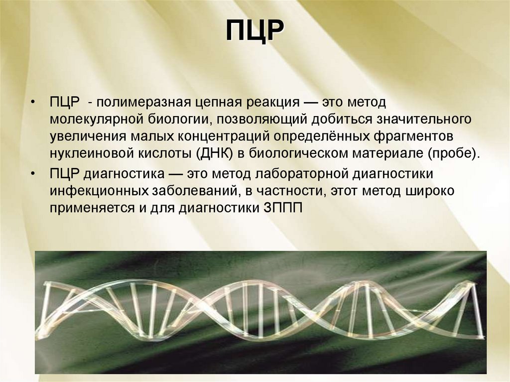 Методы молекулярной биологии презентация