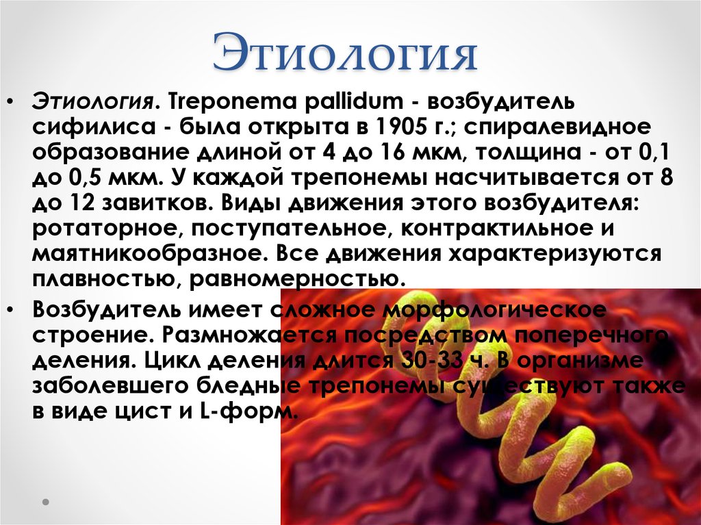 Заболевания вызываемые трепонемой. Сифилис бледная трепонема. Исследования возбудителей сифилиса. Сифилис возбудитель заболевания.