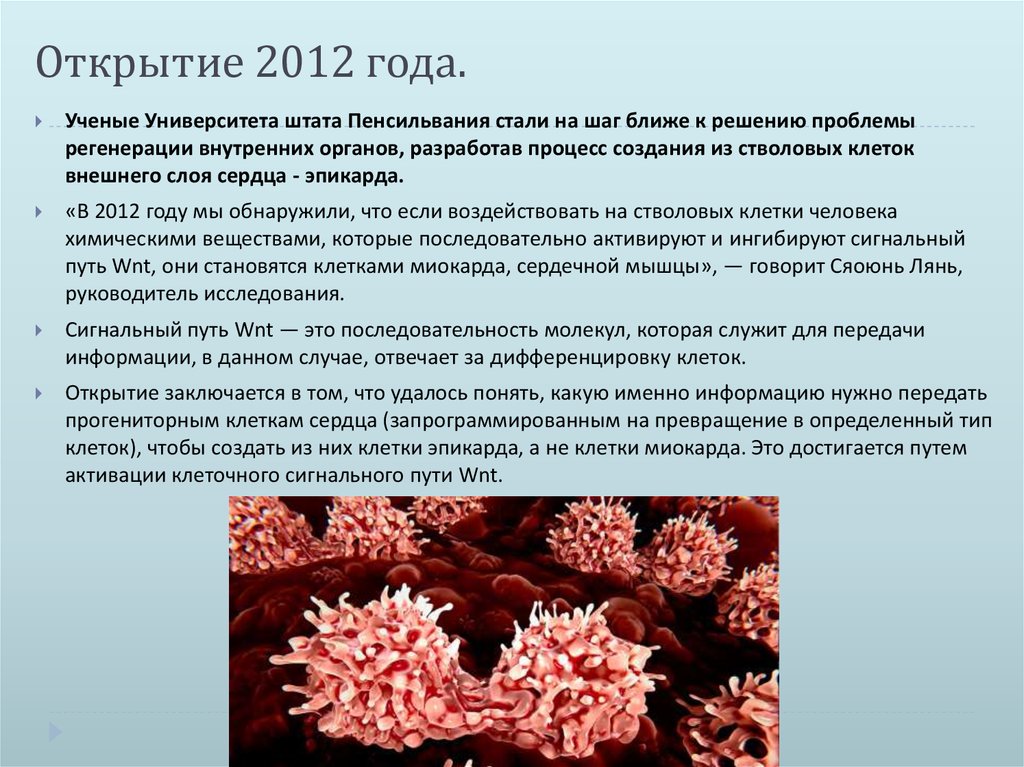 Открытие 2012 года.