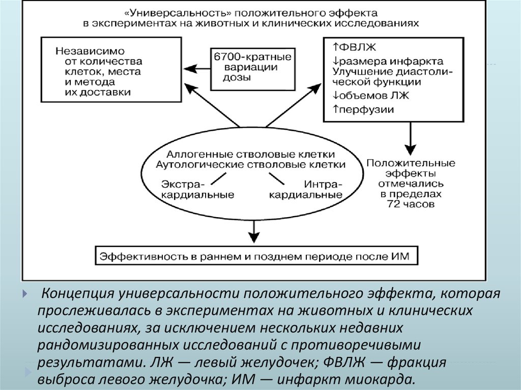 Схема исследования животных