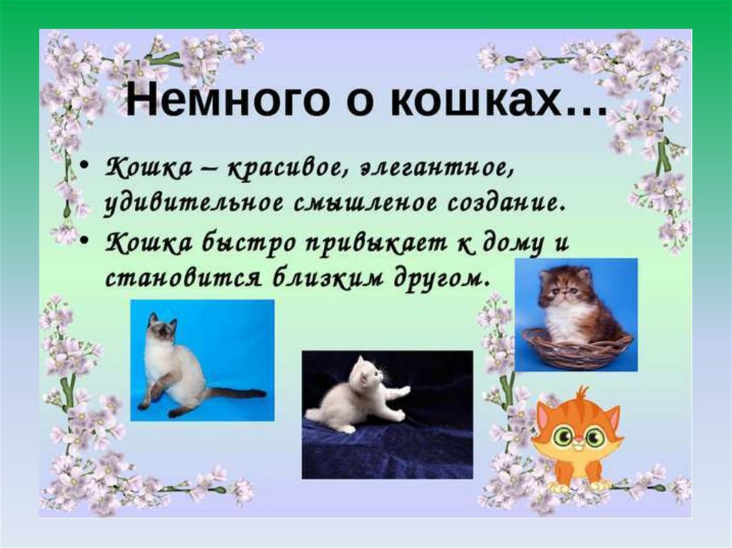 Рассказ о кошках окружающий мир. Проект Мои домашние животные. Проект про домашних животных. Проект Мои домошниеживотные. Презентация про кошек.