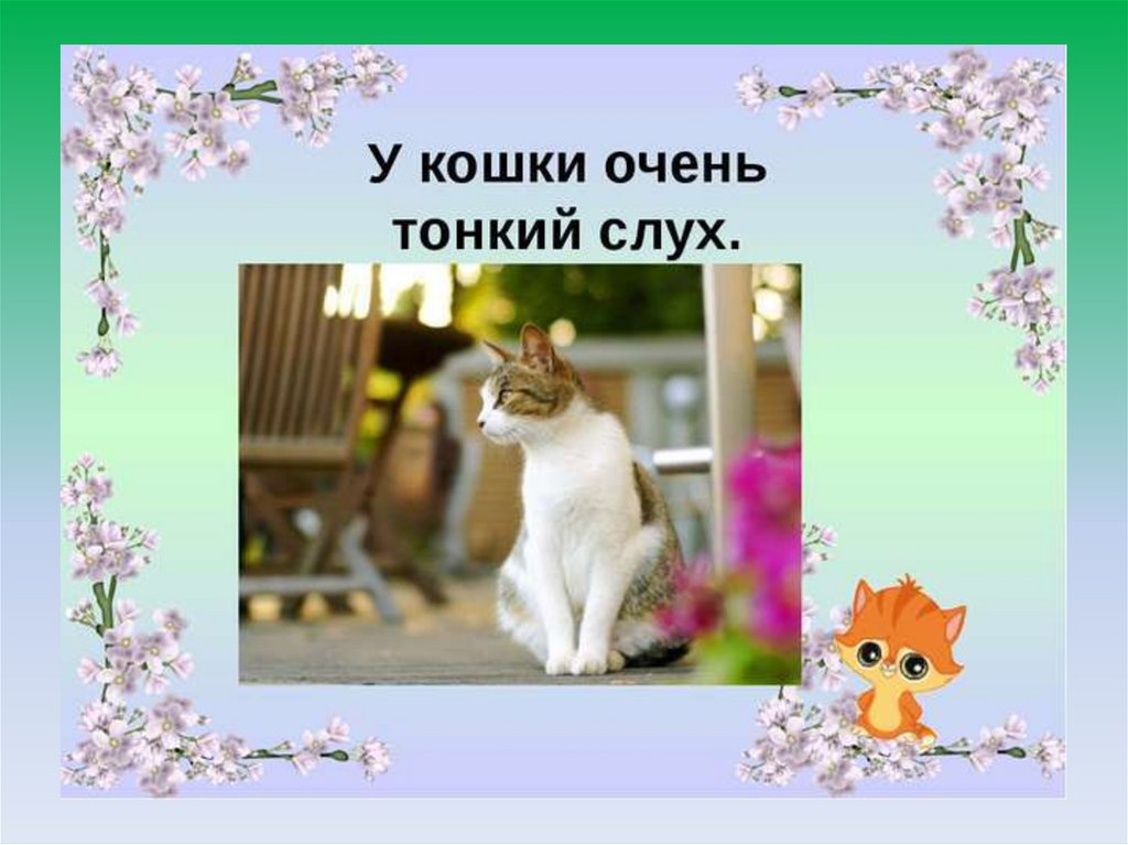 Кошки презентация 1 класс