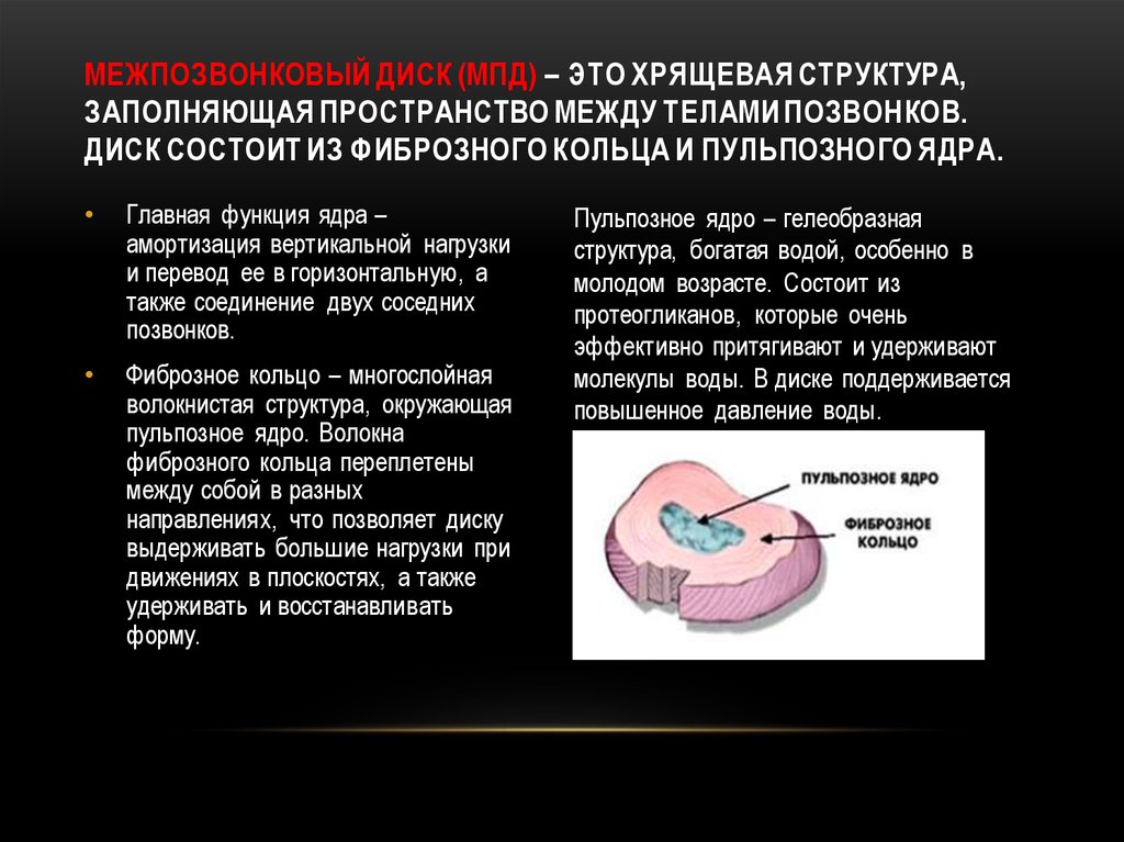Межпозвонковый диск (МПД) – это хрящевая структура, заполняющая пространство между телами позвонков. Диск состоит из фиброзного
