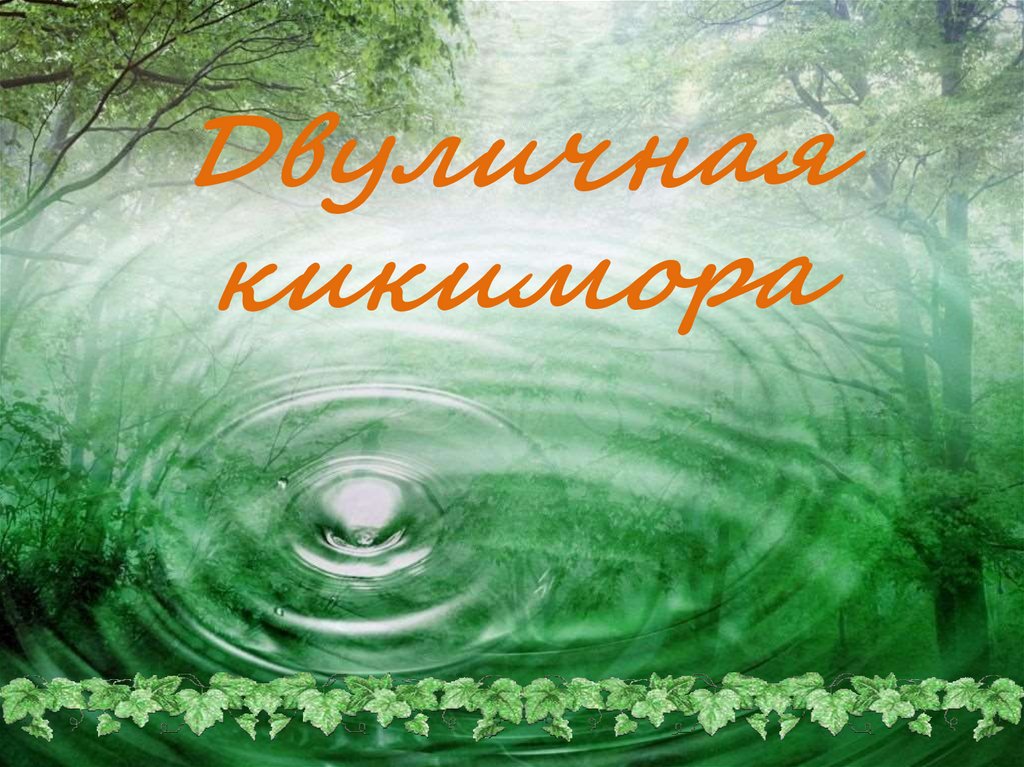 Двуличная кикимора - презентация онлайн
