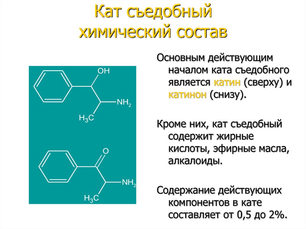 Фенилалкиламины