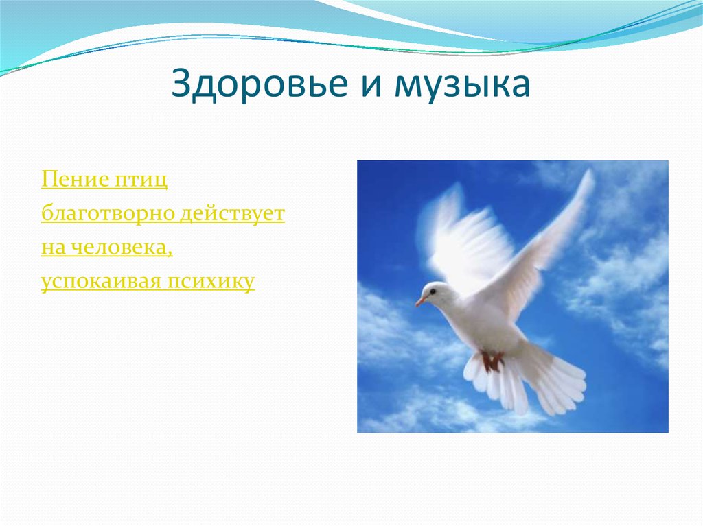 Птица поющая высоко в небе. Влияние пения птиц на здоровье человека. Пение птиц польза для здоровья. Птички поют как влияет на человека. Пение голубя.